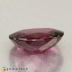 Showing image for rhodolite garnet rhodolite garnet Rhodolite Garnet image
