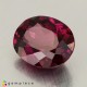 rhodolite garnet Rhodolite Garnet image