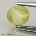 Natural Chrysoberyl cats eye 1.45 Carats Yellowish Green Round Cabochon 7x6 mm Loose Gemstone - Image 4