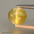 Natural Chrysoberyl cats eye 1.45 Carats Yellowish Green Round Cabochon 7x6 mm Loose Gemstone - Image 2