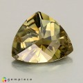 Natural Tourmaline 5.93 Carats Honey Yellow Trilliant  14x12 mm Loose Gemstone - Image 7