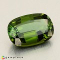 Natural Tourmaline 2.60 Carats Hunter Green Cushion 11x7 mm Loose Gemstone - Image 8