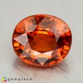 Natural Spessartite garnet 2.49 Carats Mandarin Orange Oval 8x7 mm Loose Gemstone - Image 1