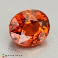 Natural Spessartite garnet 2.49 Carats Mandarin Orange Oval 8x7 mm Loose Gemstone - Image 2