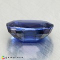 Natural Kyanite 2.56 Carats Cornflower Blue Oval 10x7 mm Loose Gemstone - Image 3