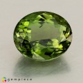 Natural Tourmaline 2.31 Carats Hunter Green Oval 9x8 mm Loose Gemstone - Image 6