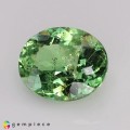 Natural Grossular garnet 4.84 Carats Mint Green Oval 11x10 mm Loose Gemstone - Image 2