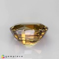 Natural Zircon 7.54 Carats Honey Yellow Cushion 11x10 mm Loose Gemstone - Image 4