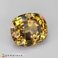 Natural Zircon 7.54 Carats Honey Yellow Cushion 11x10 mm Loose Gemstone - Image 6