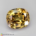 Natural Zircon 7.54 Carats Honey Yellow Cushion 11x10 mm Loose Gemstone - Image 1