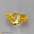 Natural Sapphire 3.69 Carats Yellow Heart  10x8 mm Loose Gemstone - Image 4