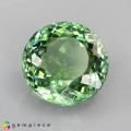 Natural Tourmaline 5.37 Carats Mint Green Round 11x7 mm Loose Gemstone - Image 1