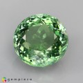 Natural Tourmaline 5.37 Carats Mint Green Round 11x7 mm Loose Gemstone - Image 2