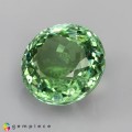 Natural Tourmaline 5.37 Carats Mint Green Round 11x7 mm Loose Gemstone - Image 4