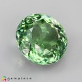 Natural Tourmaline 5.37 Carats Mint Green Round 11x7 mm Loose Gemstone - Image 6