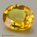 Natural Sapphire 2.46 Carats Yellow Oval 9x8 mm Loose Gemstone - Image 2