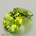 Natural Peridot 10.15 Carats Green Round 11x6 mm Loose Gemstone - Image 3