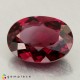 Showing image for rhodolite garnet rhodolite garnet image