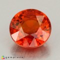 Natural Spessartite garnet 2.17 Carats Vivid Orange Round 7x4 mm Loose Gemstone - Image 2