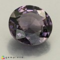 Natural Spinel 3.14 Carats Purple Round 9x5 mm Loose Gemstone - Image 6