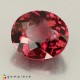 Showing image for rhodolite garnet rhodolite garnet Rhodolite Garnet image
