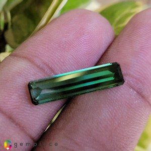 tourmaline  4.13cts - 21x5mm