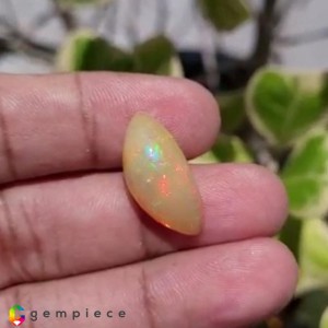 opal  7.99cts - 23x11mm opal  7.99cts - 23x11mm