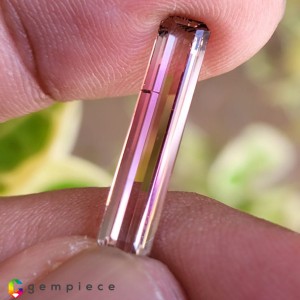 tourmaline  4.01cts - 22x5mm