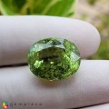 Natural Copper tourmaline 15.81 Carats Green Oval 18x14 mm Loose Gemstone - Image 2