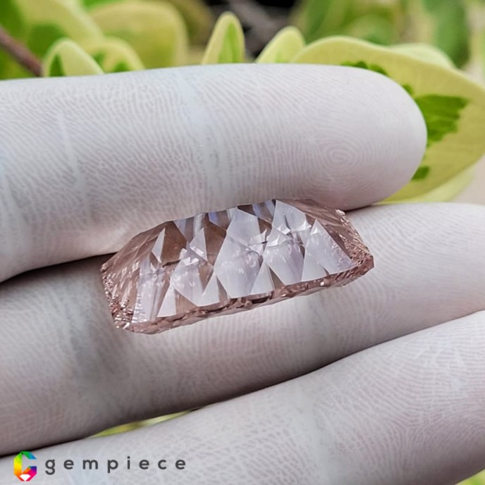 morganite Morganite image