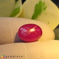 Natural Star ruby 8.80 Carats Pinkish Red Oval Cabochon 12x9 mm Loose Gemstone - Image 1