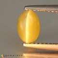 Natural Chrysoberyl cats eye 1.09 Carats Yellow Oval Cabochon 7x5 mm Loose Gemstone - Image 2