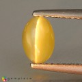 Natural Chrysoberyl cats eye 1.09 Carats Yellow Oval Cabochon 7x5 mm Loose Gemstone - Image 4
