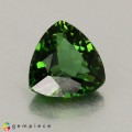 Natural Chrome tourmaline 0.85 Carats Green Trilliant  6x6 mm Loose Gemstone - Image 4