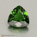 Natural Chrome tourmaline 0.85 Carats Green Trilliant  6x6 mm Loose Gemstone - Image 1