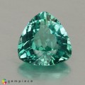 Natural Apatite 1.24 Carats Paraiba Blue Green Trilliant  7x7 mm Loose Gemstone - Image 1