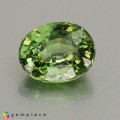 Natural Demantoid garnet 0.99 Carats Green Oval 6x5 mm Loose Gemstone - Image 3