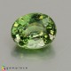 Showing image for demantoid garnet demantoid garnet Demantoid Garnet image