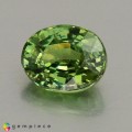 Natural Demantoid garnet 0.99 Carats Green Oval 6x5 mm Loose Gemstone - Image 2