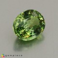 Natural Demantoid garnet 0.99 Carats Green Oval 6x5 mm Loose Gemstone - Image 5