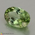 Natural Tourmaline 1.71 Carats Green Oval 9x6 mm Loose Gemstone - Image 2