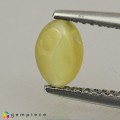 Natural Chrysoberyl cats eye 1.43 Carats Yellow Oval Cabochon 7x5 mm Loose Gemstone - Image 3