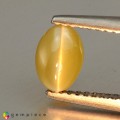 Natural Chrysoberyl cats eye 1.43 Carats Yellow Oval Cabochon 7x5 mm Loose Gemstone - Image 5