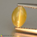 Natural Chrysoberyl cats eye 1.43 Carats Yellow Oval Cabochon 7x5 mm Loose Gemstone - Image 2