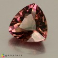 Natural Tourmaline 2.25 Carats Pink Trilliant  9x9 mm Loose Gemstone - Image 4
