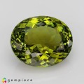 Natural Tourmaline 7.81 Carats Hunter Green Oval 14x12 mm Loose Gemstone - Image 1