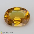 Natural Sapphire 3.10 Carats Yellow Oval 11x8 mm Loose Gemstone - Image 1