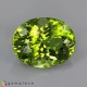 peridot image