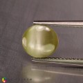 Natural Chrysoberyl cats eye 2.09 Carats Yellow Oval Cabochon 8x7 mm Loose Gemstone - Image 5