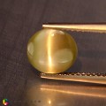 Natural Chrysoberyl cats eye 2.09 Carats Yellow Oval Cabochon 8x7 mm Loose Gemstone - Image 2
